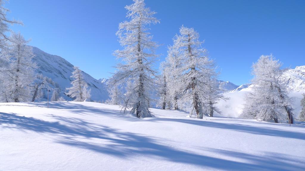 Berggasthaus Wasenalp Briga Esterno foto